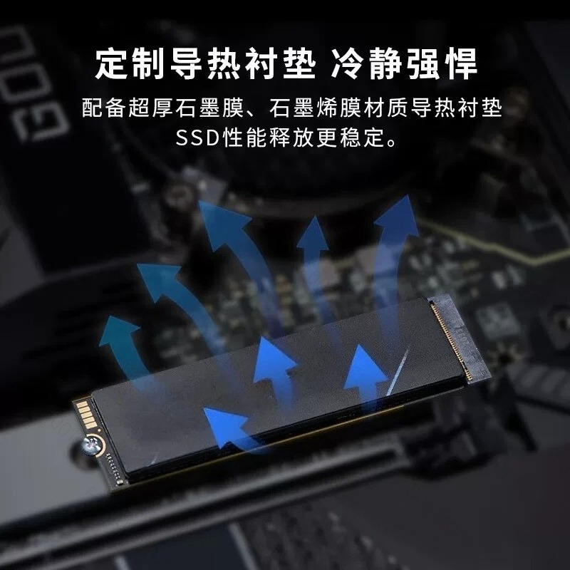 M.2 NVME SSD für Acer Predator – Ssd 1Tb Bewertung und Preis